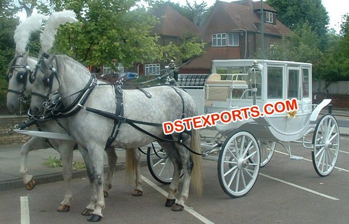 New Design White Covered Carriage