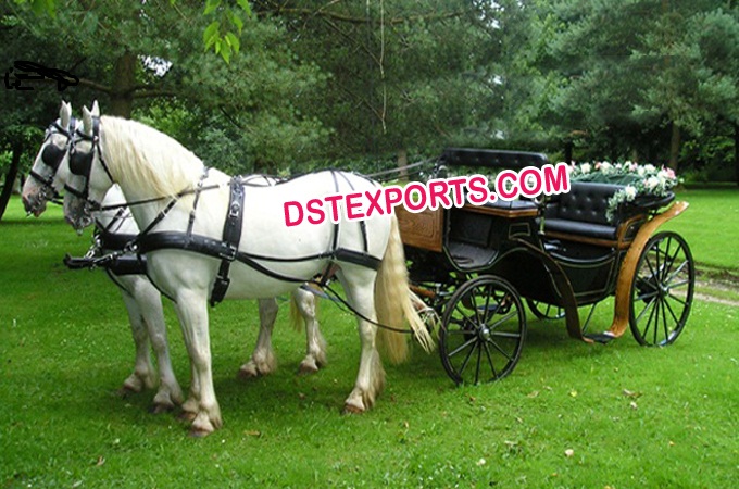 Double Horse Black Victoria Carriages