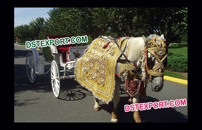 Indian Baraat Wedding Golden Horse Costume