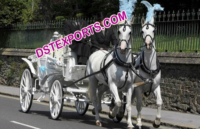 Double Horse Carriage