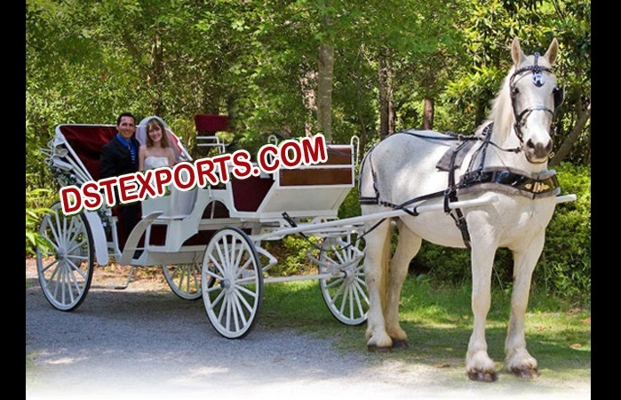 Victoria  Horse Drawn Carriage Buggy