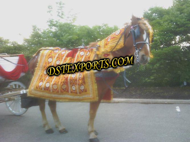 PUNJABI WEDDING HORSE COSTUMES