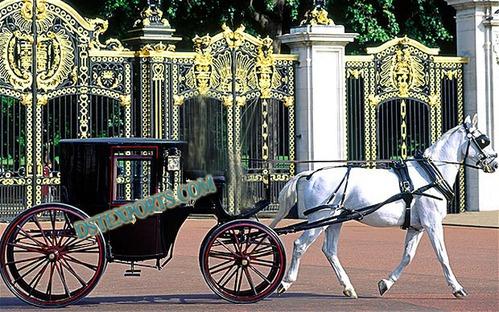 COVERED BLACK  HORSE  DRAWN CARRIAGE