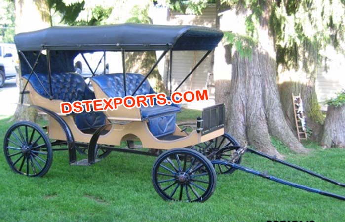 Two Seater Horse Limousine Carriage