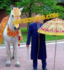 Indian Wedding Traditional Horse Costume