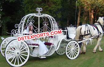Indian Wedding Cinderella Carriage