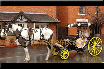 Royal Indian Wedding Small Victoria Carriages