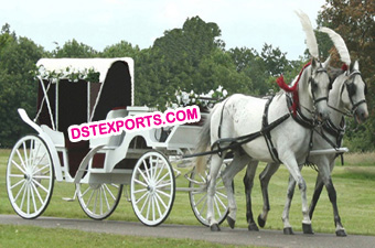 Designer Royal Wedding Horse Down Carriages