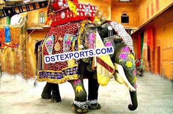 Beautiful Decorated Elephant Costume