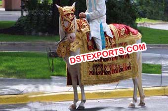 Indian Wedding Designer Horse Costumes