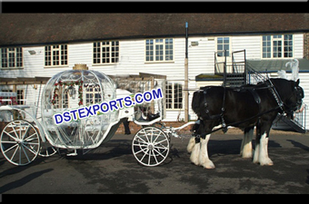 White Wedding Cinderella Horse Carriages