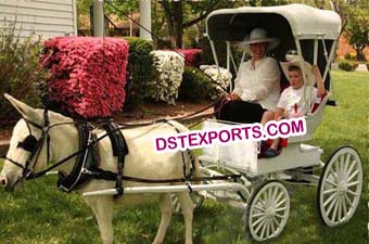 Beautiful Child Carriages