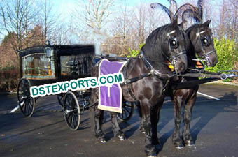 Blackish Funeral Horse Carriages