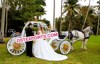 Cinderella Style Horse Carriages
