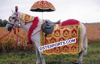 Indian Vivah Decorated Horse Costume