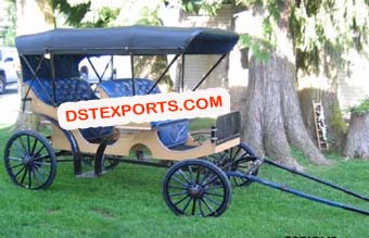 Two Seater Horse Limousine Carriage