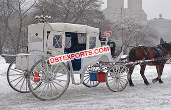 White Horse Carriage For Wedding