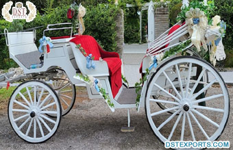 Victorian White Horse Drawn Wagon Carriage