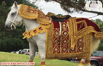 Indian Groom Entry Wedding Horse Costume